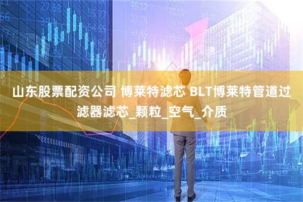 山东股票配资公司 博莱特滤芯 BLT博莱特管道过滤器滤芯_颗粒_空气_介质