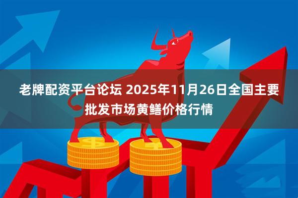 老牌配资平台论坛 2025年11月26日全国主要批发市场黄鳝价格行情
